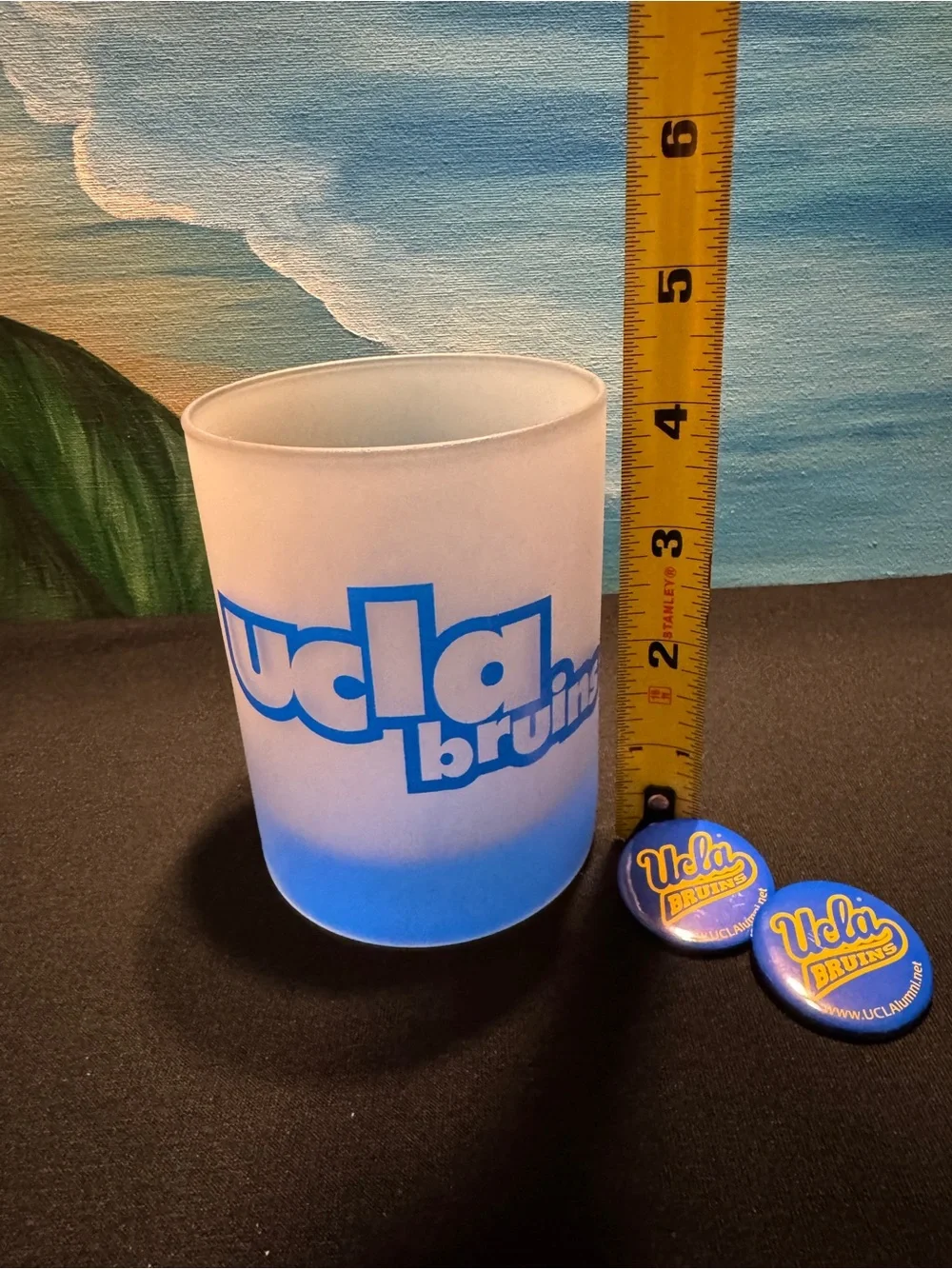 UCLA Bruins Vintage Frosted Glass - Blue/White